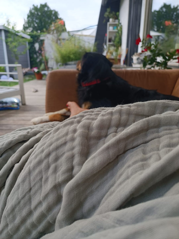 Över 200 000 nöjda kunder ♥️